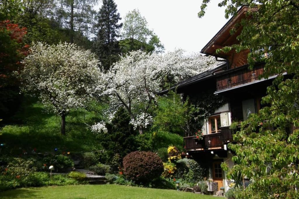 Alpenrelax Haus Weidmannsheil Wohnen Im Romantischen Forsthaus 韦尔芬 外观 照片