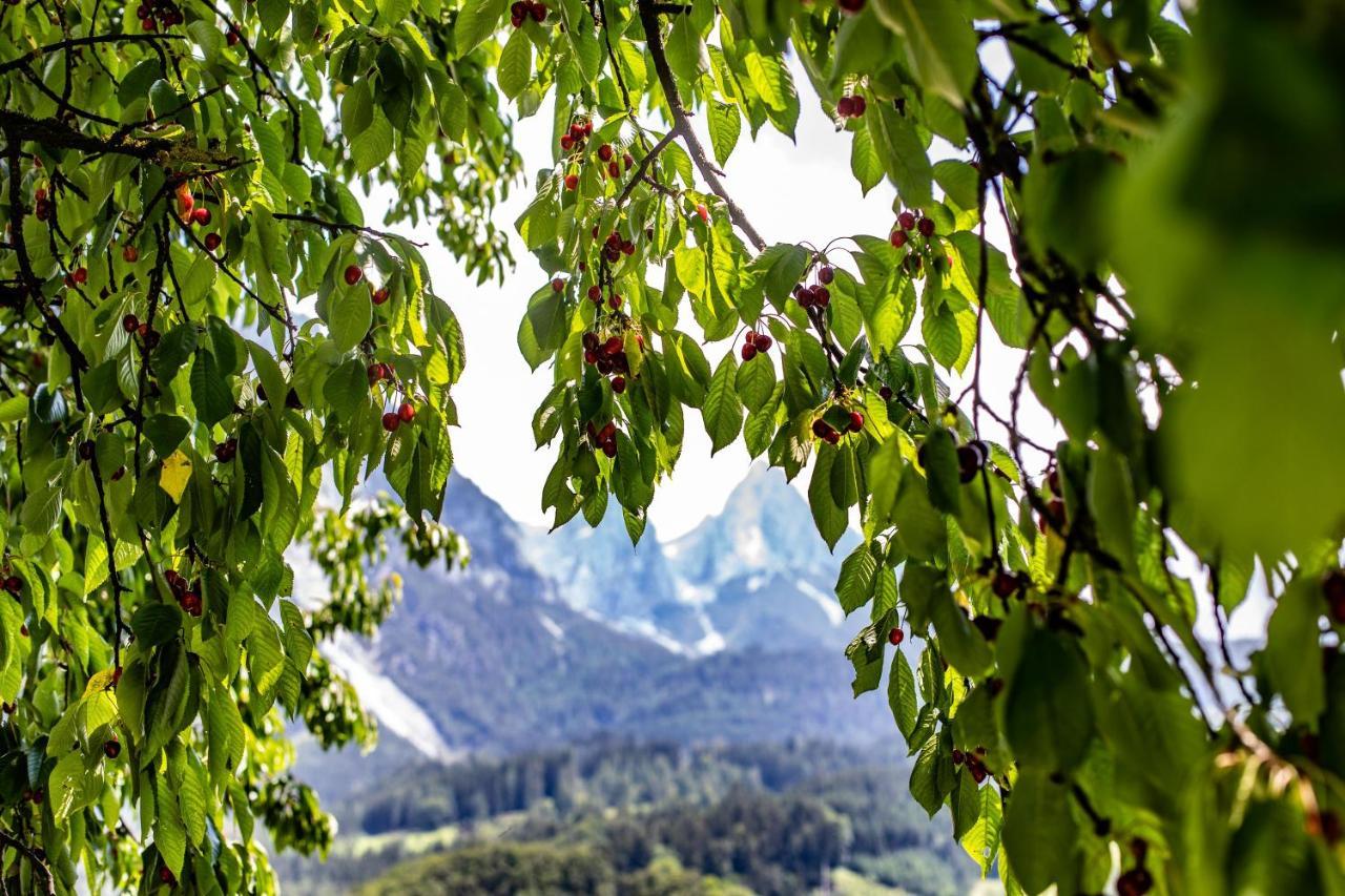 Alpenrelax Haus Weidmannsheil Wohnen Im Romantischen Forsthaus 韦尔芬 外观 照片