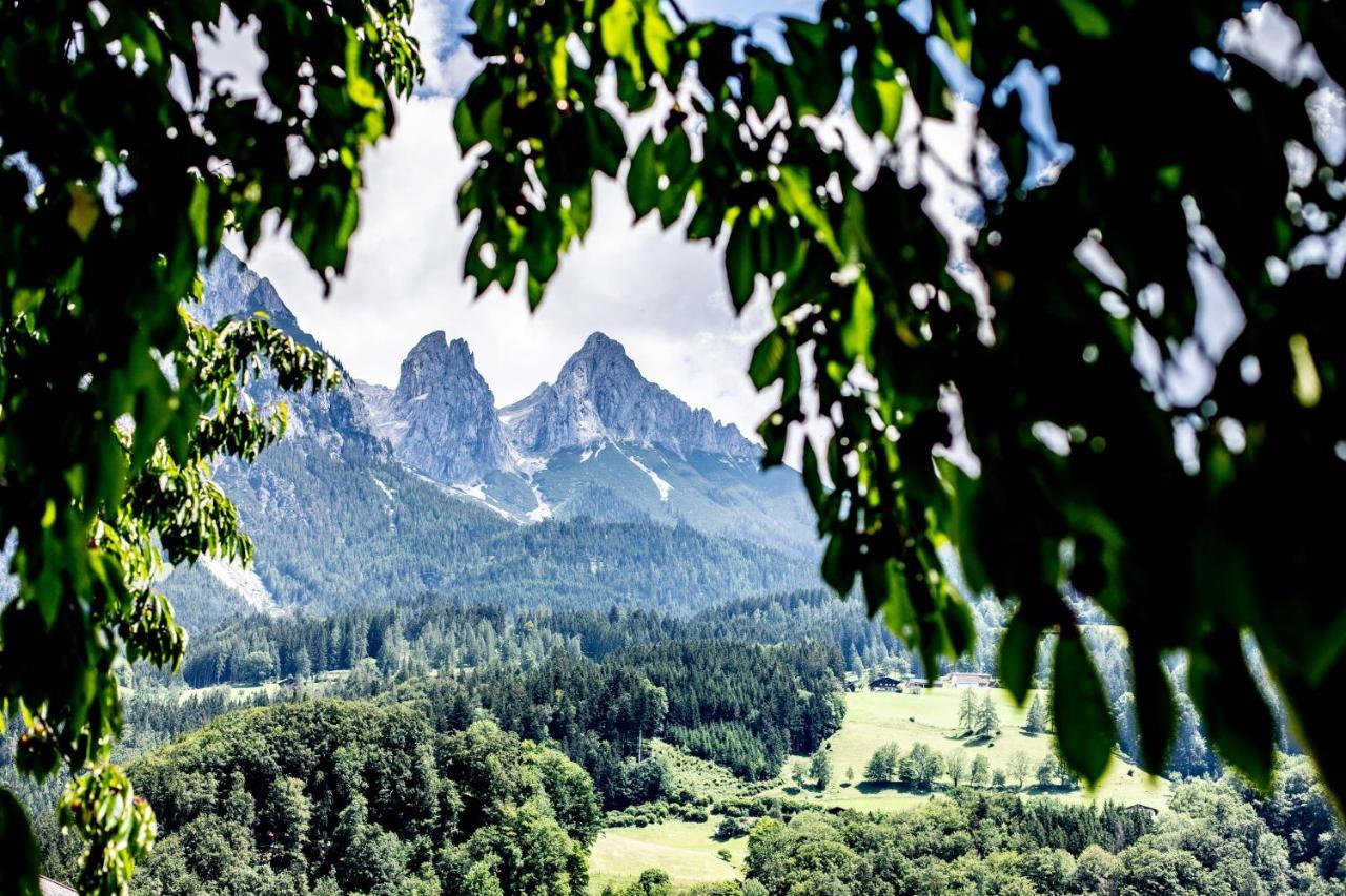 Alpenrelax Haus Weidmannsheil Wohnen Im Romantischen Forsthaus 韦尔芬 外观 照片